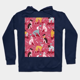 Greyhounds dogwalk // pattern // red background Hoodie